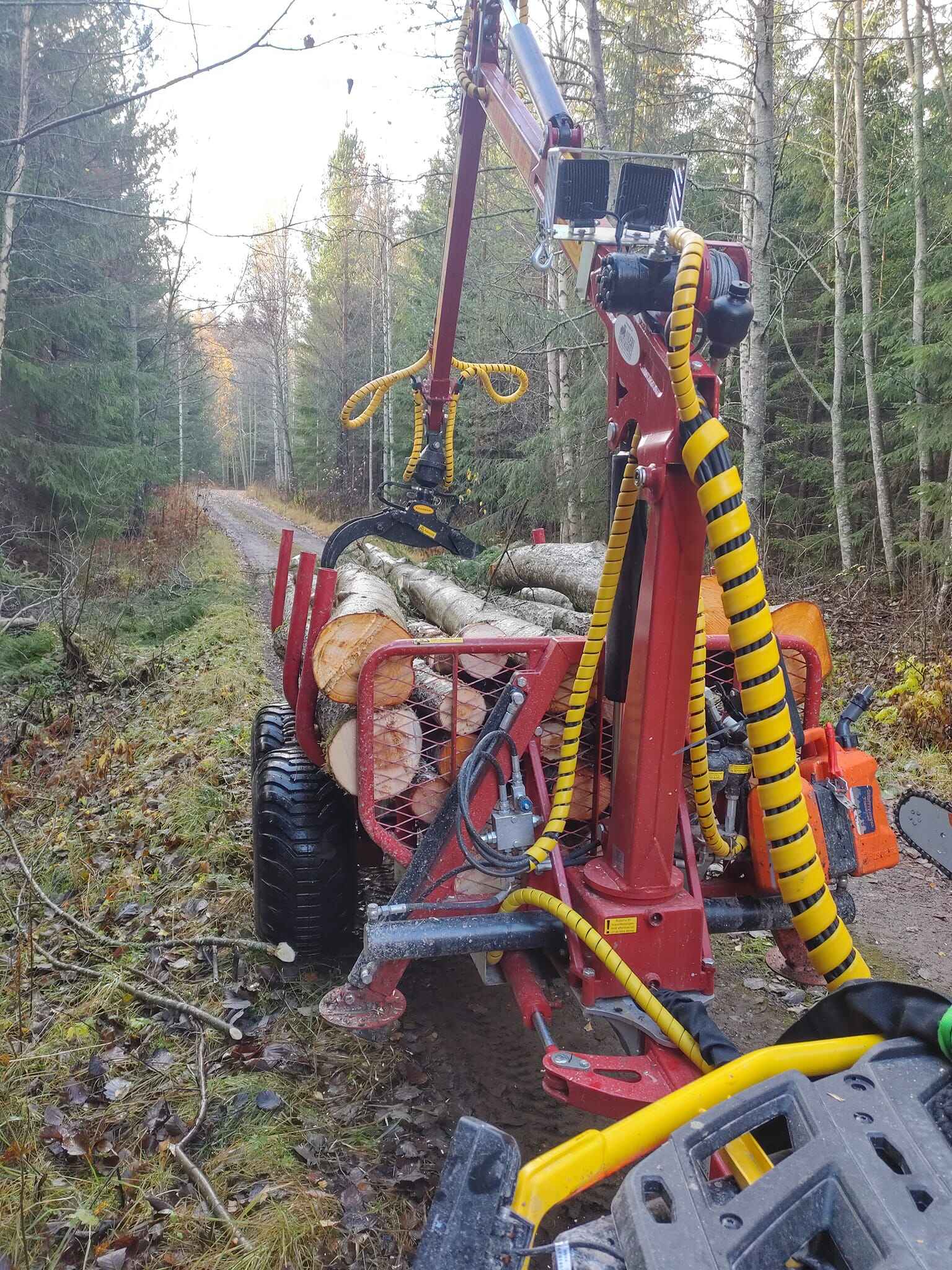 Trädfällning i Ältebo - Boka din service idag