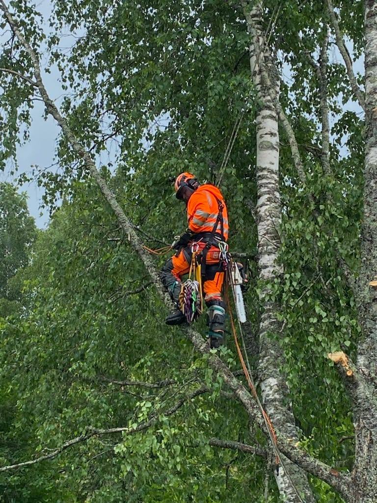 Fagersta´s främsta Trädgårdsservice